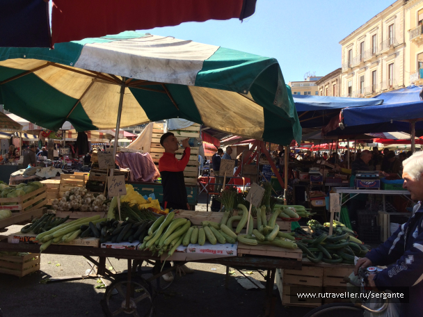 photo 1462481