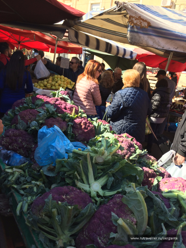 photo 1462484