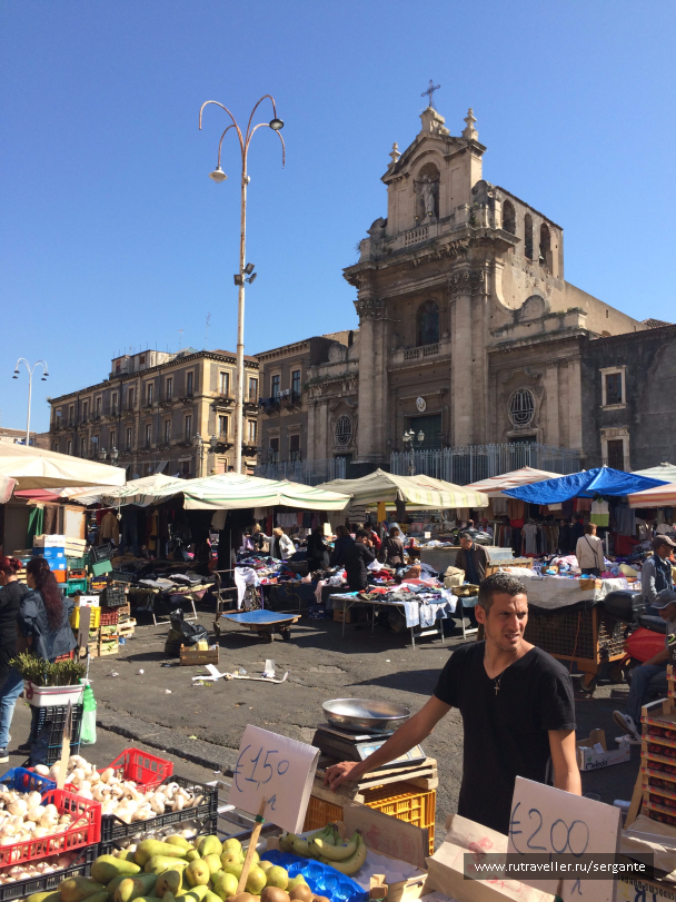 photo 1462486