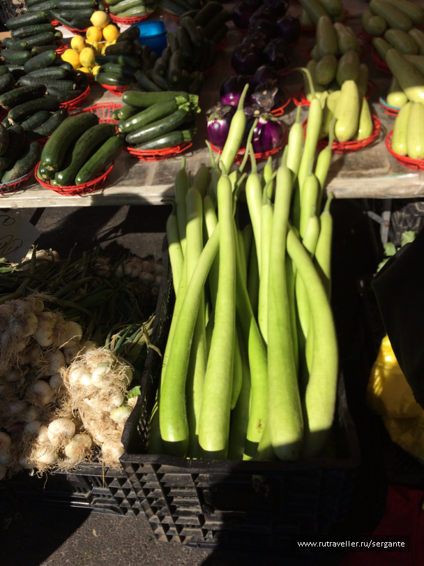 photo 1462488