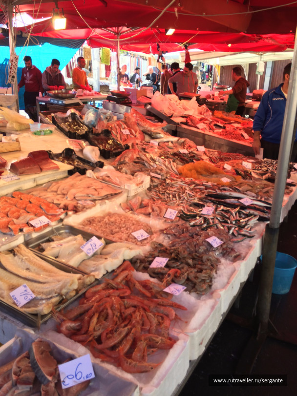 photo 1462493
