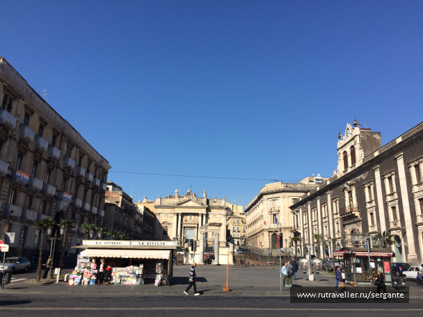 photo 1462498
