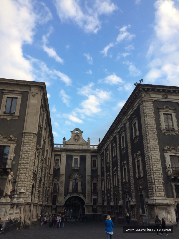 photo 1462504