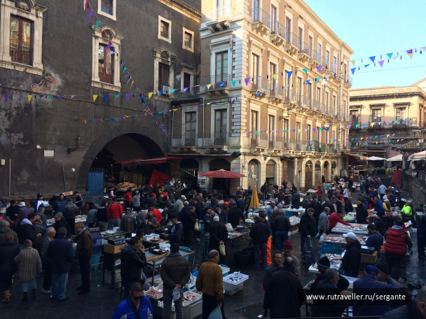 photo 1462505