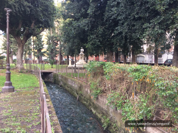 photo 1462510