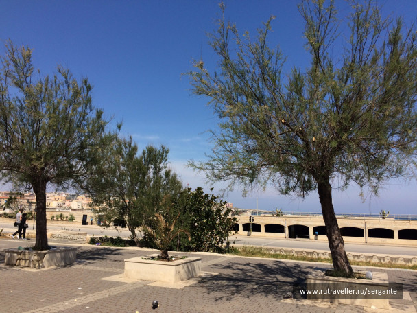 photo 1462347