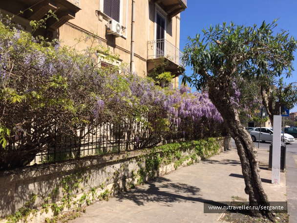 photo 1462368