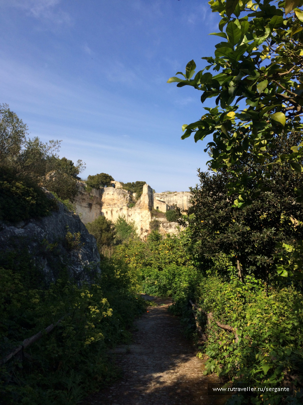 photo 1462376