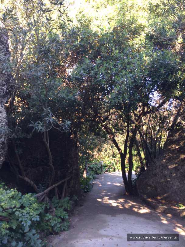 photo 1462378