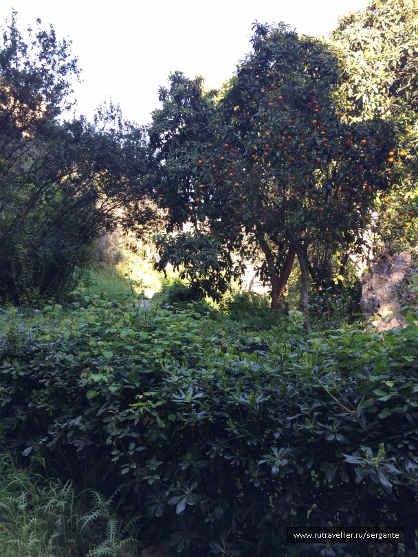 photo 1462380