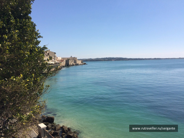 photo 1462409