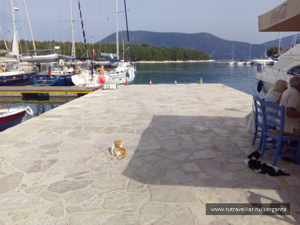 photo 1462536