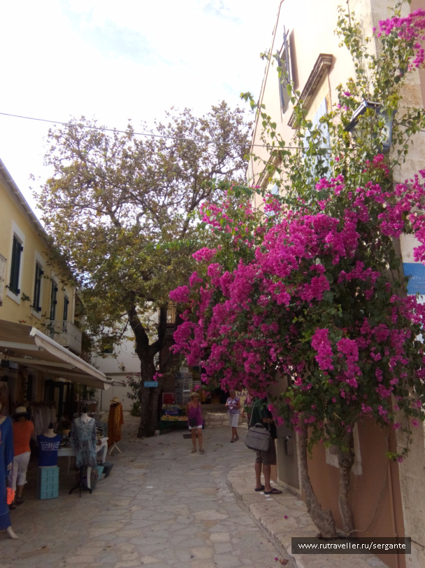 photo 1462537