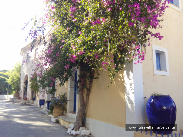 photo 1462540