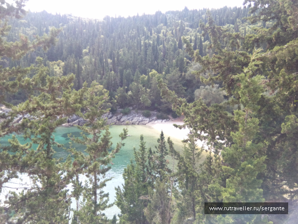 photo 1462542