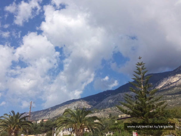photo 1462546