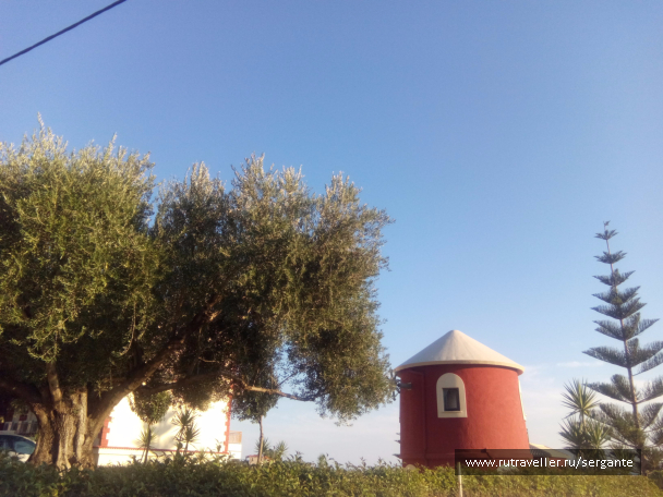 photo 1462554