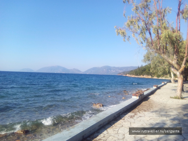 photo 1462556