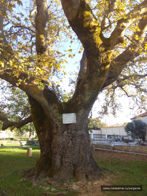photo 1462563