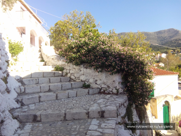 photo 1462571
