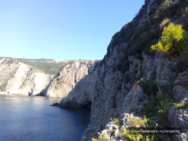 photo 1462574
