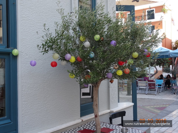 photo 1462589