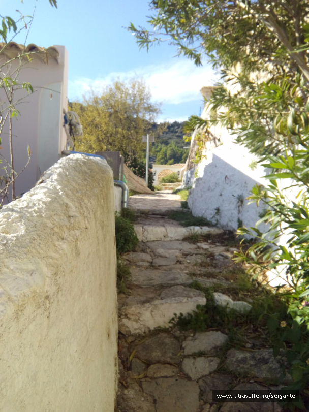photo 1462606