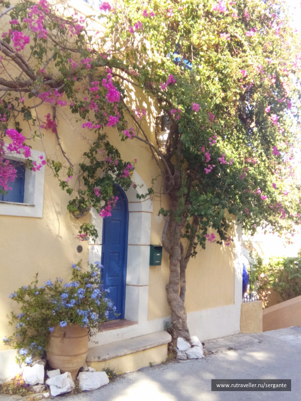 photo 1462612