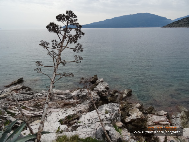 photo 1462615