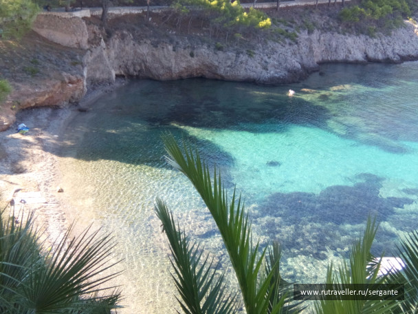 photo 1462618