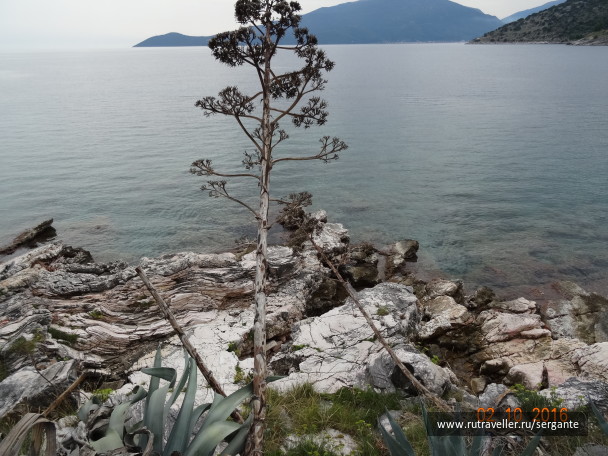 photo 1462622