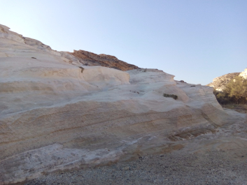 photo 1462759