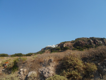 photo 1462785