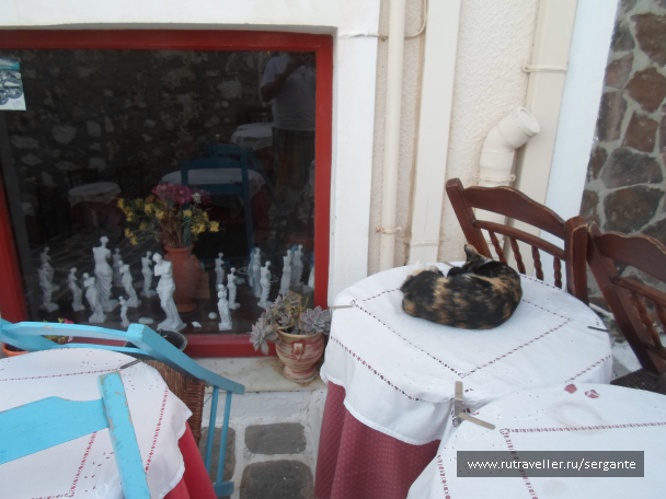 photo 1462853