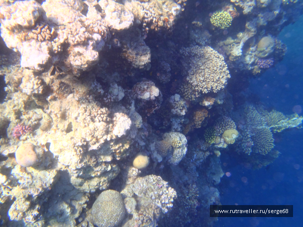 photo 711797