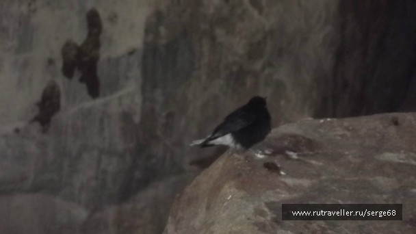 photo 727159