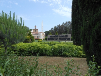 photo 796923