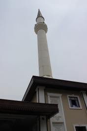 photo 1106795