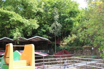 photo 1124649