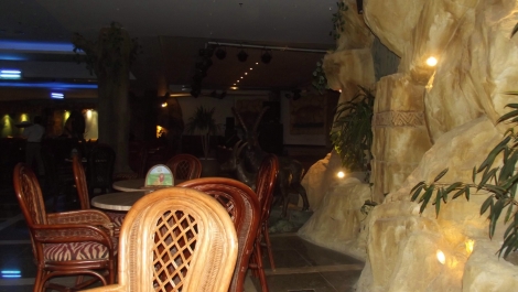 photo 1171725