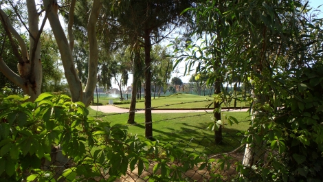 photo 733569