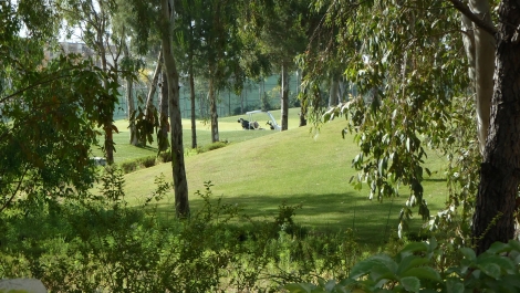 photo 733570