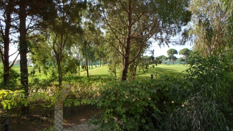 photo 733571