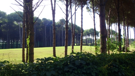 photo 733572