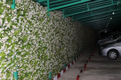 photo 777759