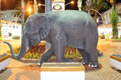 photo 780742