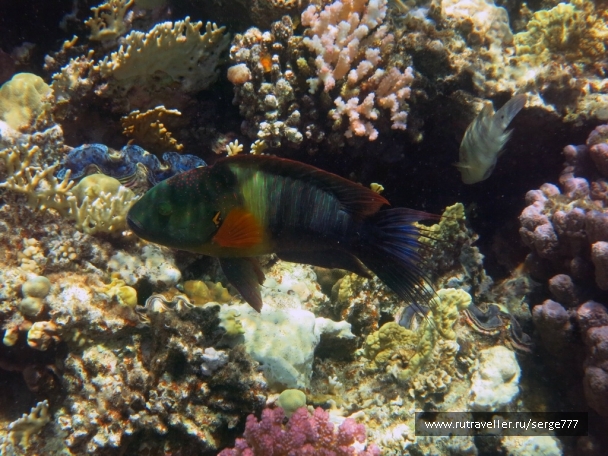 photo 737600