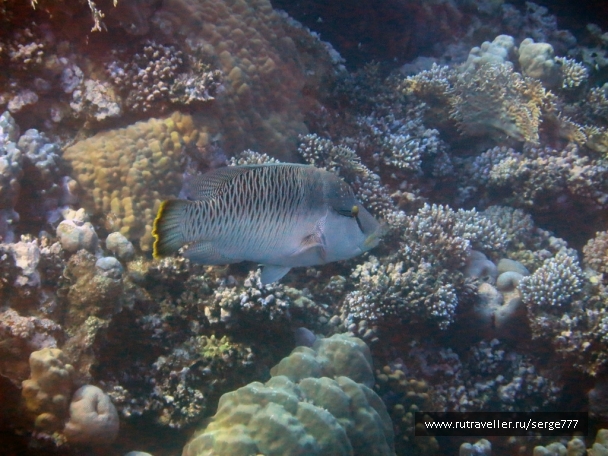 photo 737601