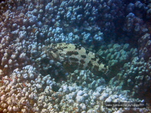 photo 737623