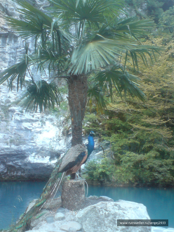 photo 353568